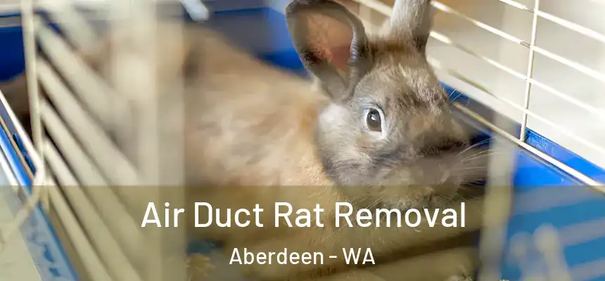  Air Duct Rat Removal Aberdeen - WA