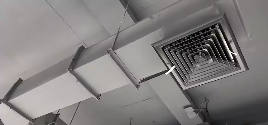 Our Pest Removal From Ducts Services in Aberdeen, WA