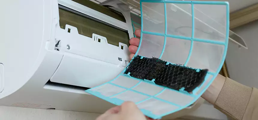 Gentle Ductwork Odor-Control Pet Dander Duct Cleaning in Aberdeen, WA