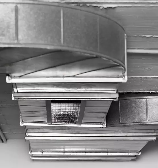 Professional Air Duct Pest Removal in Aberdeen, WA