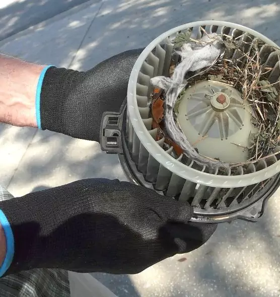 About Air Duct Rat Removal in Aberdeen, WA