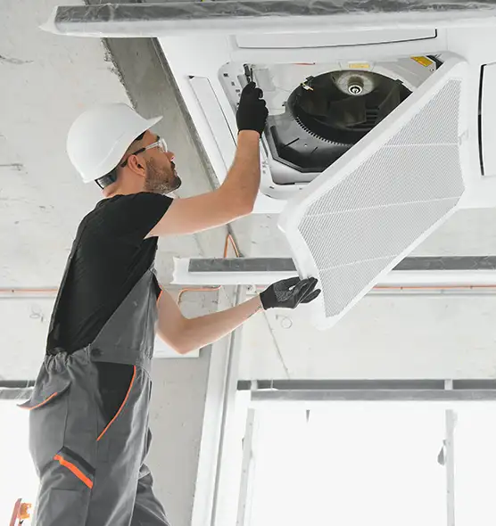 About Air Duct Rodent Removal in Aberdeen, WA