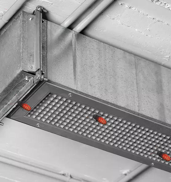 Affordable Insect Removal from Air Ducts in Aberdeen, WA
