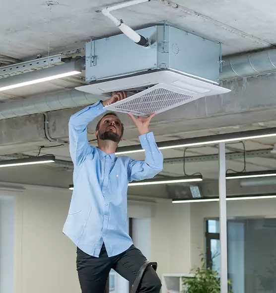 Advanced Rodent Droppings In Vents in Aberdeen, WA