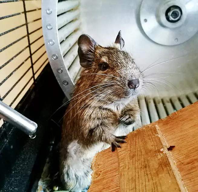 Why Homeowners & Businesses Trust Us Aberdeen, WA