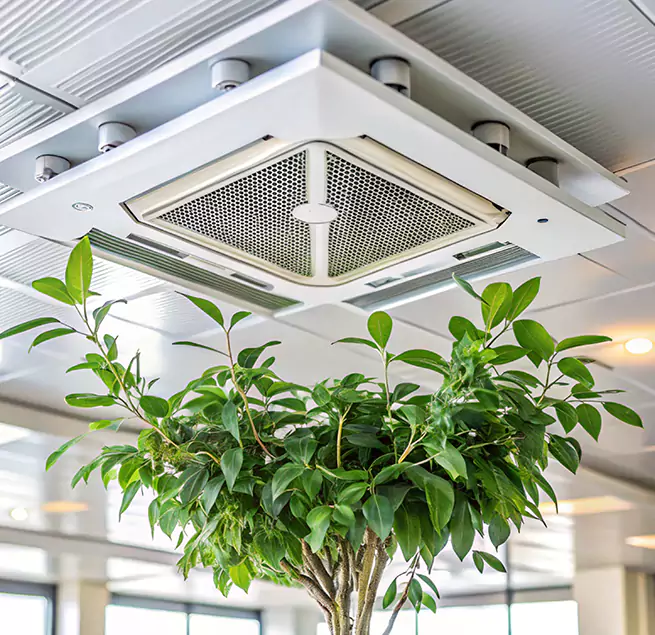 Why Homeowners & Businesses Trust Us in Aberdeen, WA